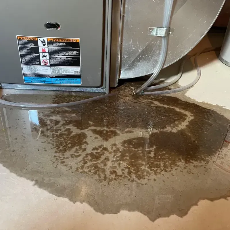 Appliance Leak Cleanup in Sabetha, KS